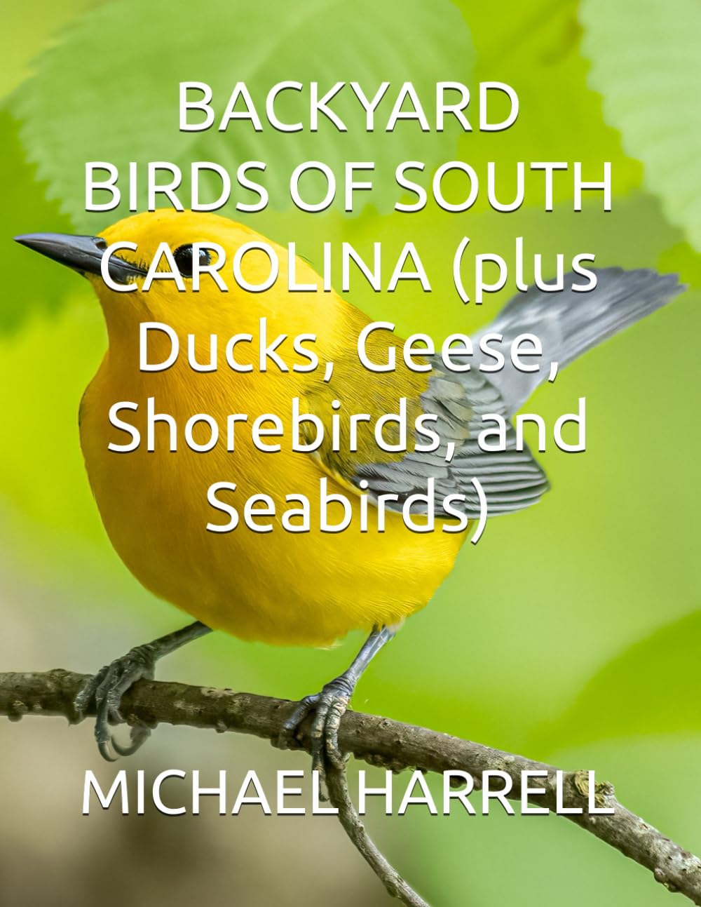 BACKYARD BIRDS OF SOUTH CAROLINA (plus Ducks, Geese, Shorebirds, and Seabirds) (Wildlife of North America and other educational books.) - 1015