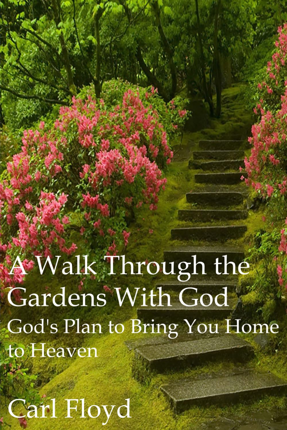 A Walk Through the Gardens with God: God's Plan to Bring You to Home to Heaven - 6700