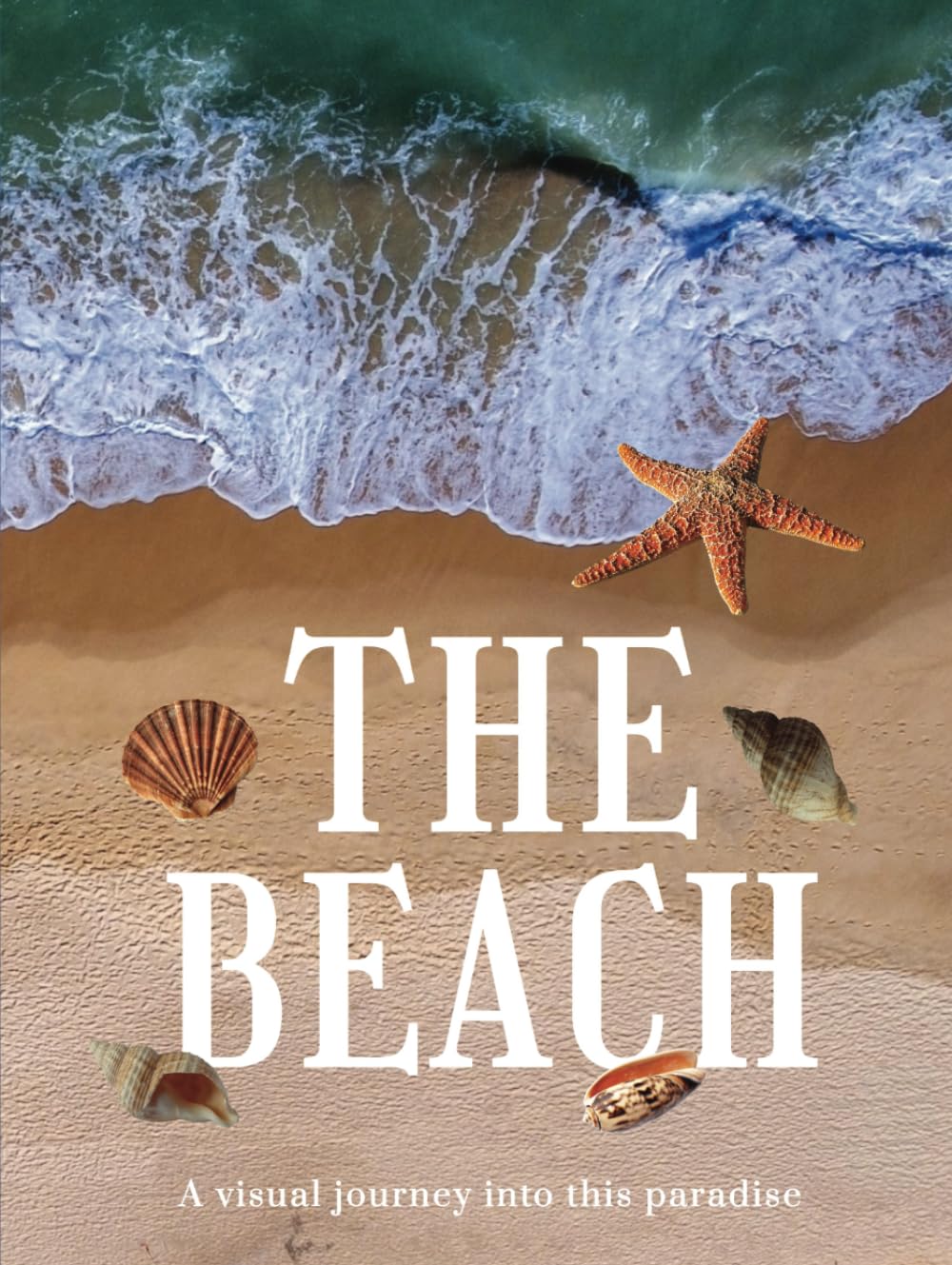 THE BEACH: A visual journey into this paradise (THE COFFEE TABLE BOOKS) - 37