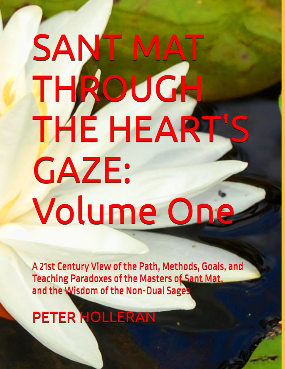 SANT MAT THROUGH THE HEART'S GAZE: Volume One - 147