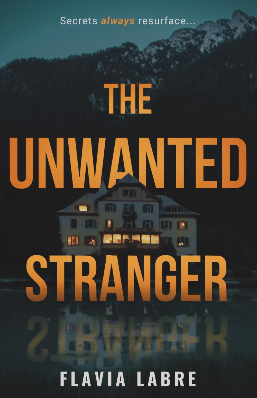 The Unwanted Stranger: A Gripping Thriller of Hidden Secrets and Fatal Consequences