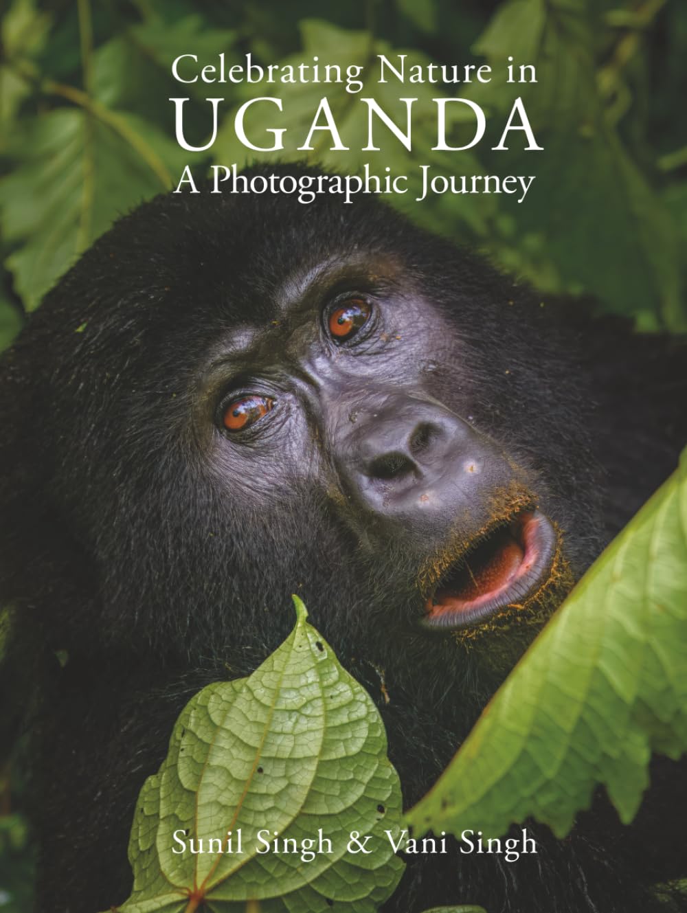 Celebrating Nature in UGANDA: A Photographic Journey