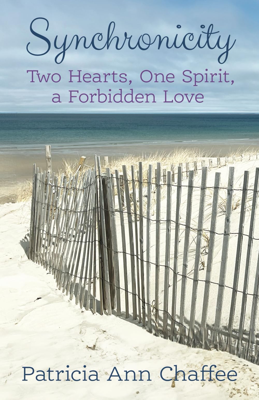 Synchronicity: Two Hearts, One Spirit, a Forbidden Love