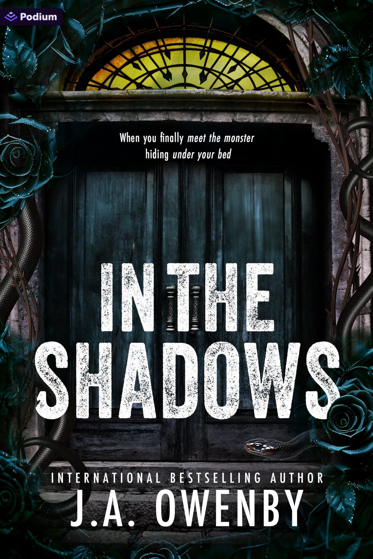 In the Shadows: A Dark Stalker Romance (The Shadows Series, 1)