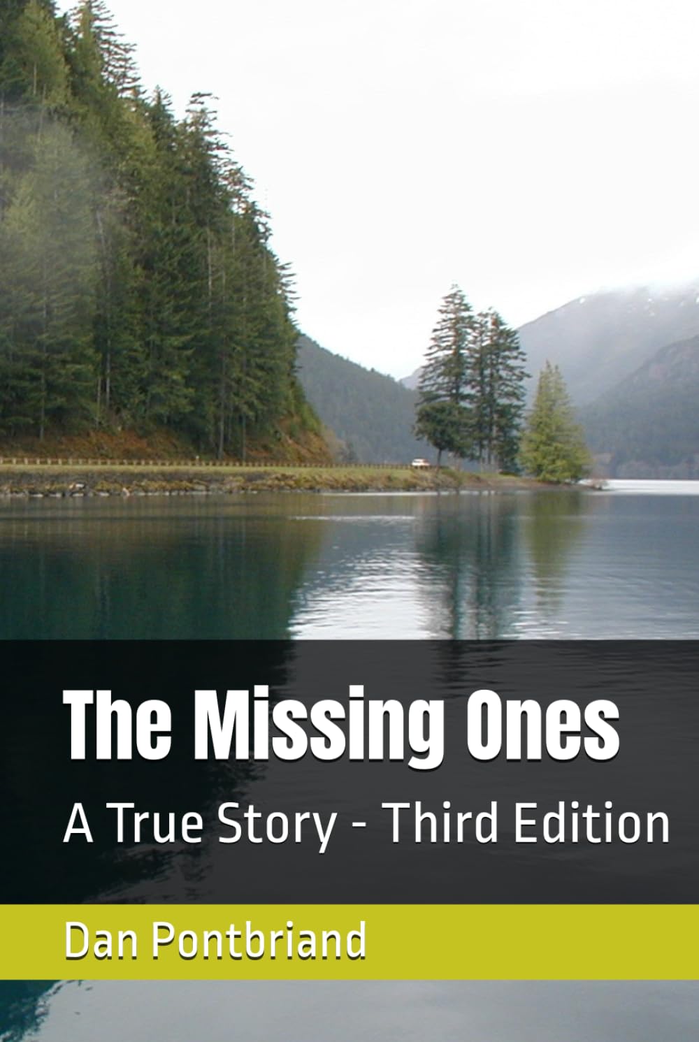 The Missing Ones