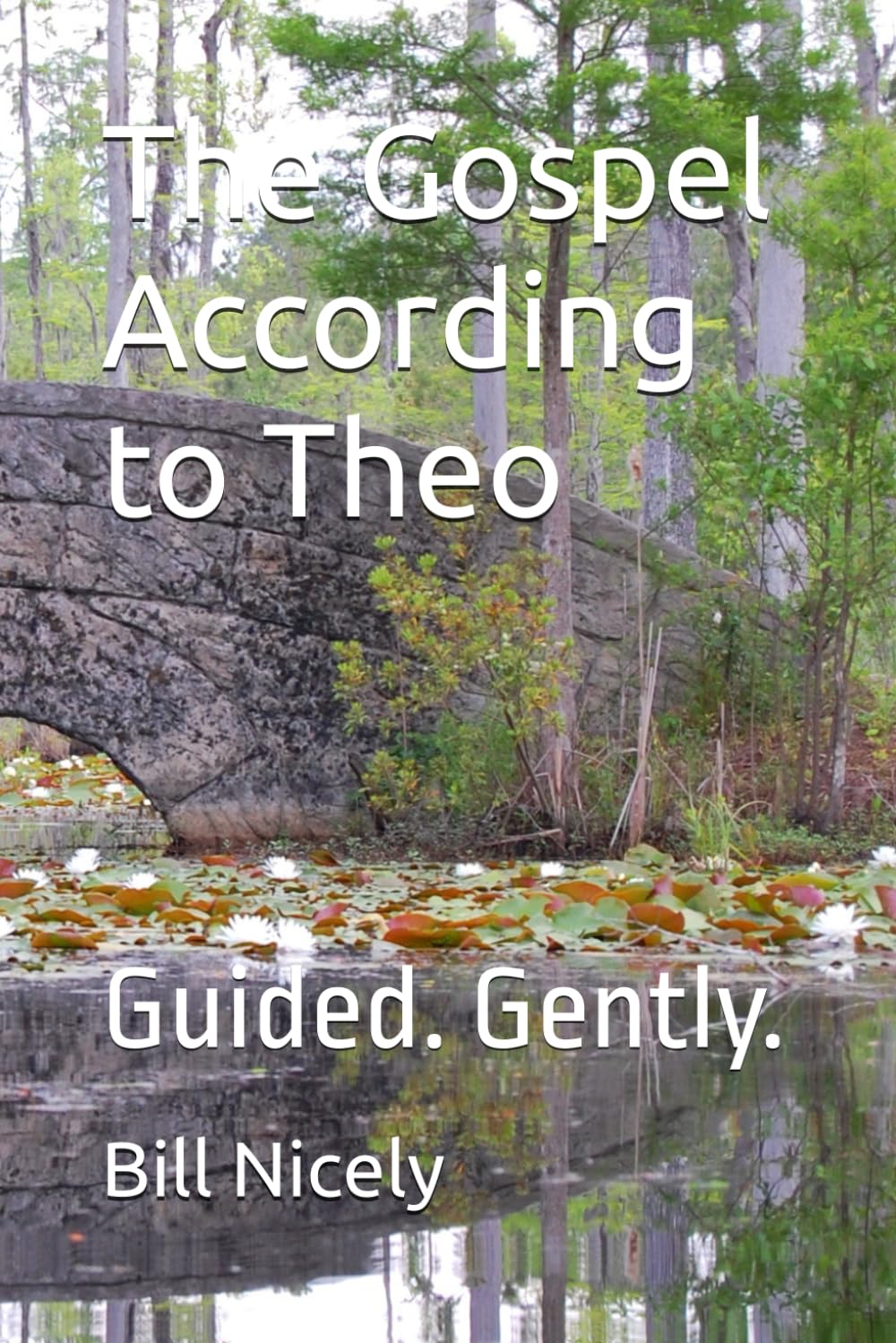The Gospel According to Theo: Guided. Gently.