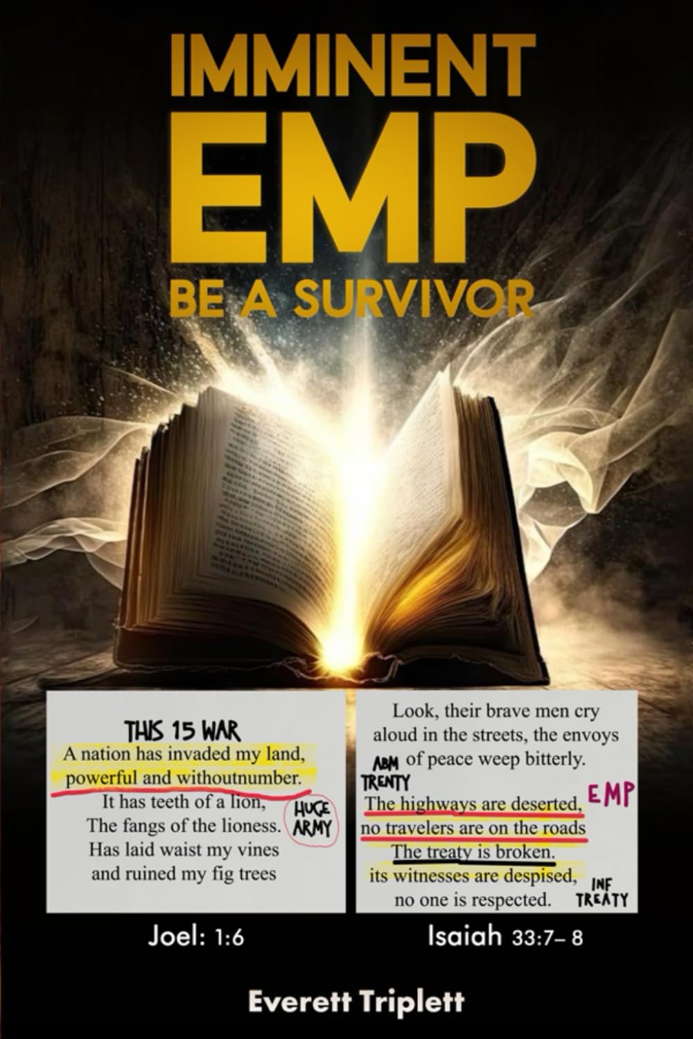Imminent EMP: Be a Survivor