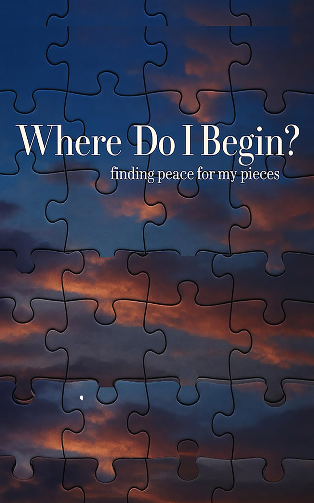 Where Do I Begin?: Finding Peace for My Pieces