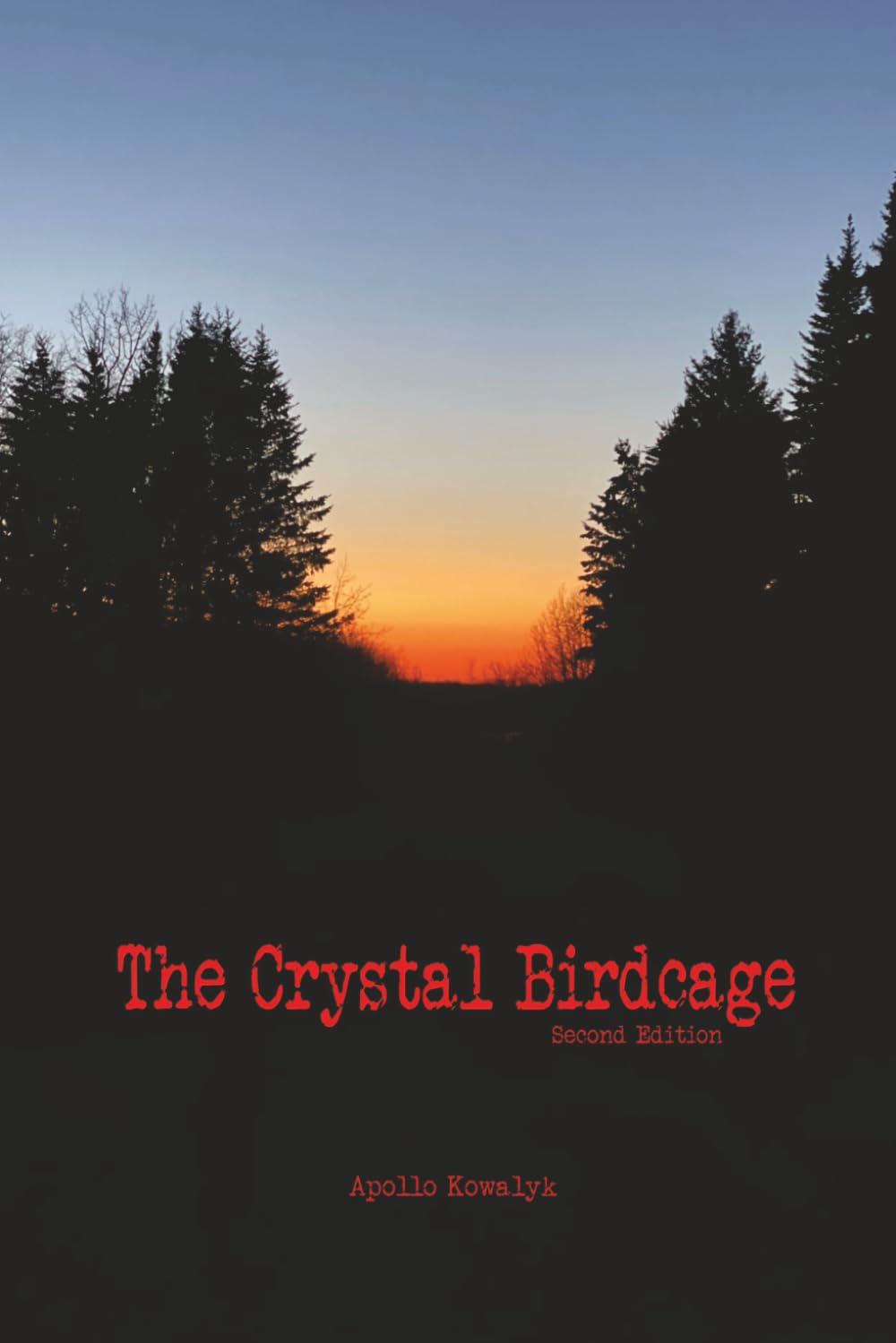 The Crystal Birdcage: Second Edition