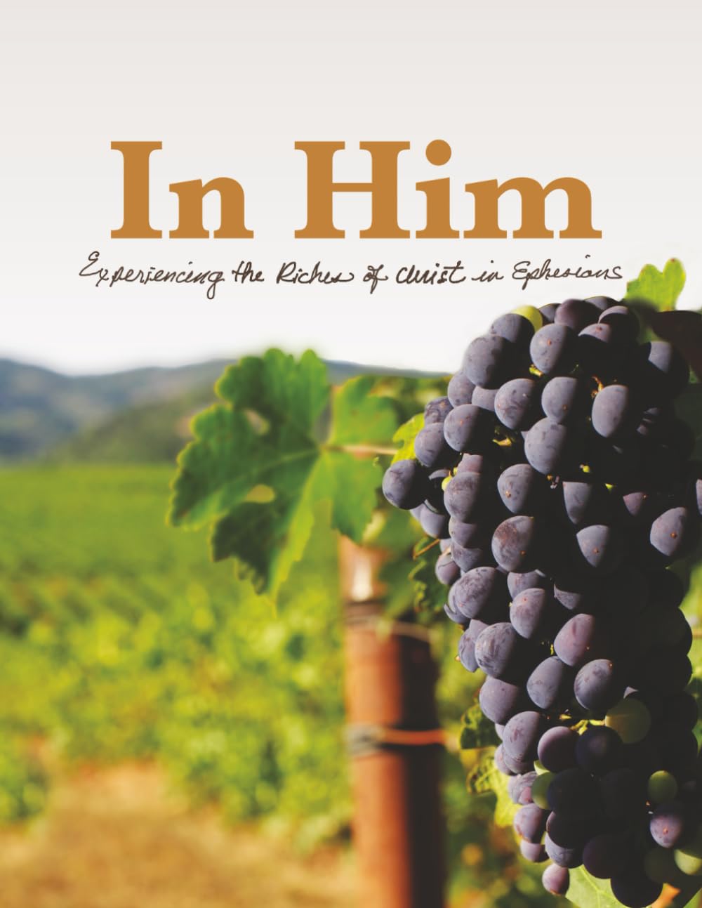 In Him: Experiencing the Riches of Christ in Ephesians - 2377