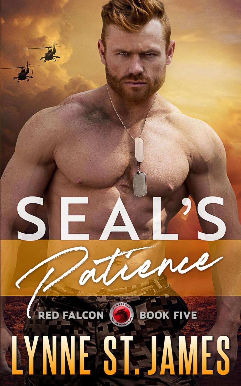 SEAL's Patience: An Age Gap Protector Romance (Red Falcon Team)