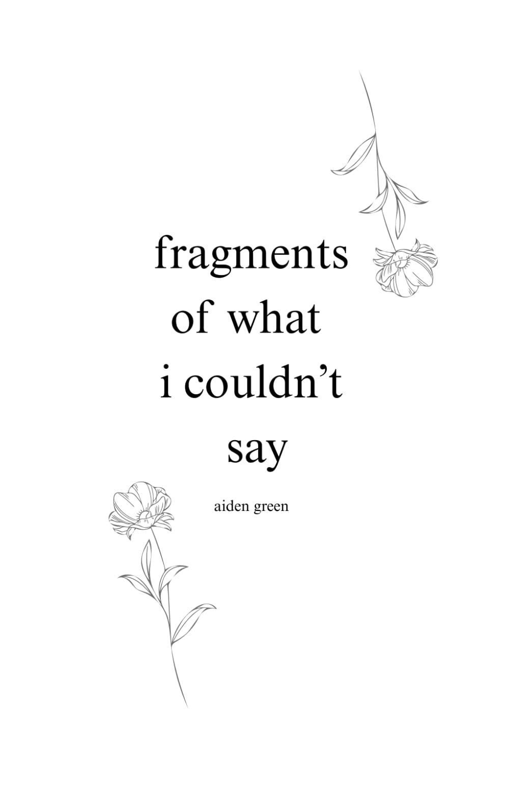 fragments of what i couldn't say