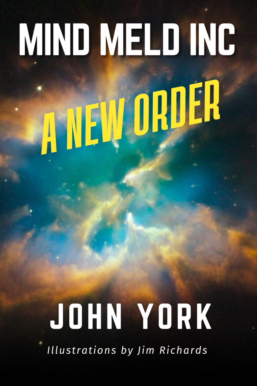 Mind Meld Inc: A New Order