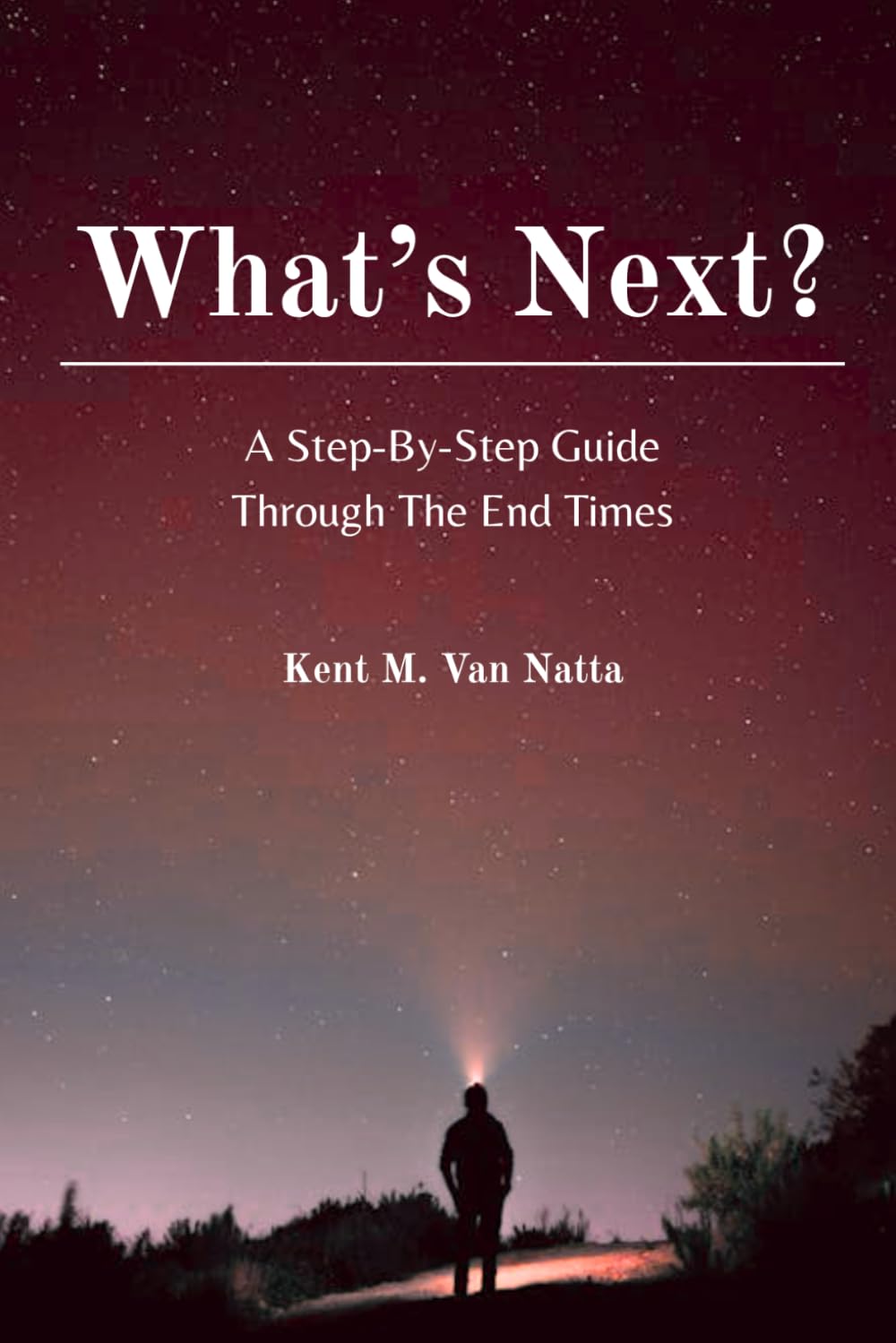 What's Next: A Step-By-Step Guide Through The End Times