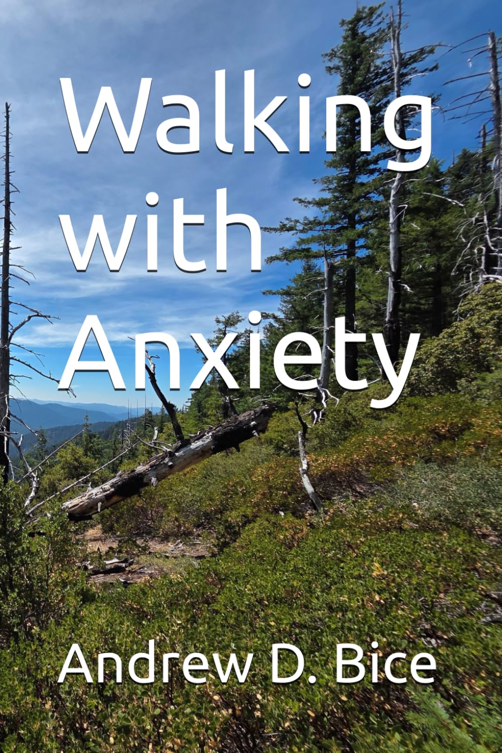 Walking with Anxiety (The Quiet Work)