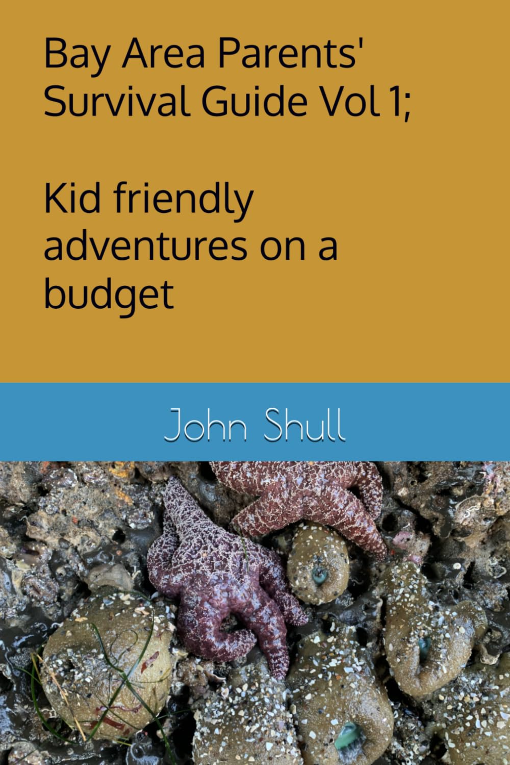 Bay Area Parents' Survival Guide Volume 1; Kid friendly adventures on a budget