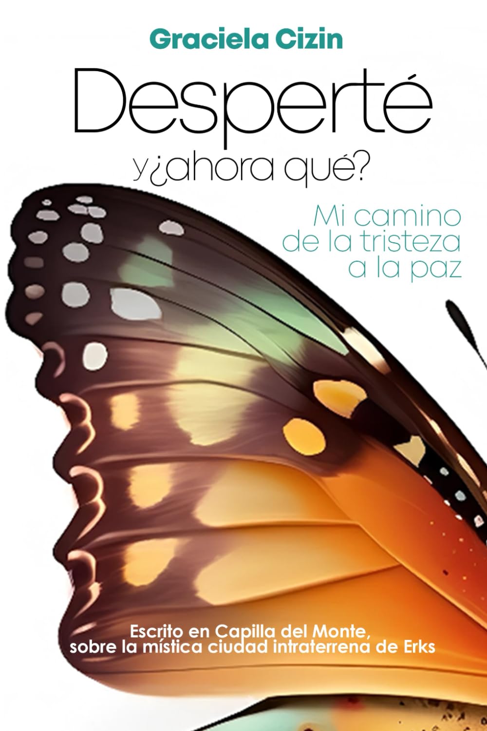 Desperté ¿Ahora qué?: Mi camino de la tristeza a la paz (Spanish Edition)