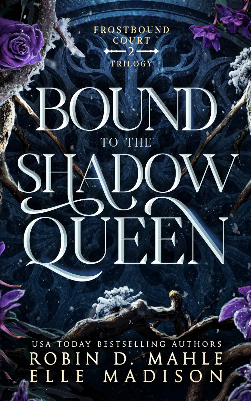 Bound to the Shadow Queen (Frostbound Court)