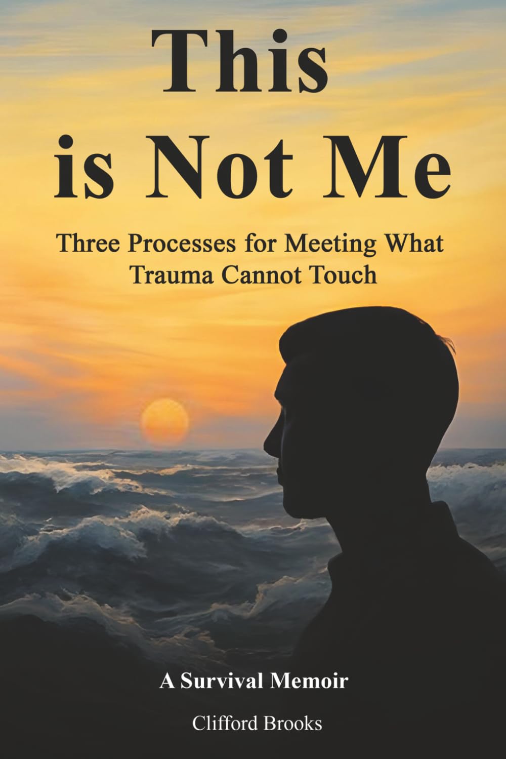 This is Not Me: Three Processes for Meeting What Trauma Cannot Touch: (For anyone feeling consumed by the past & current chaos)