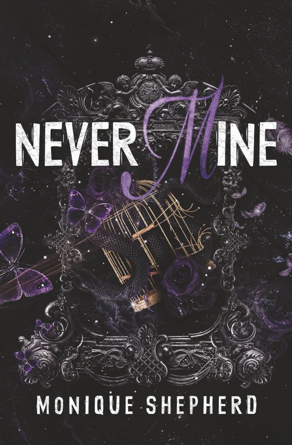 Never Mine: A Forbidden Age-Gap College Romance (The Never Never Duet)