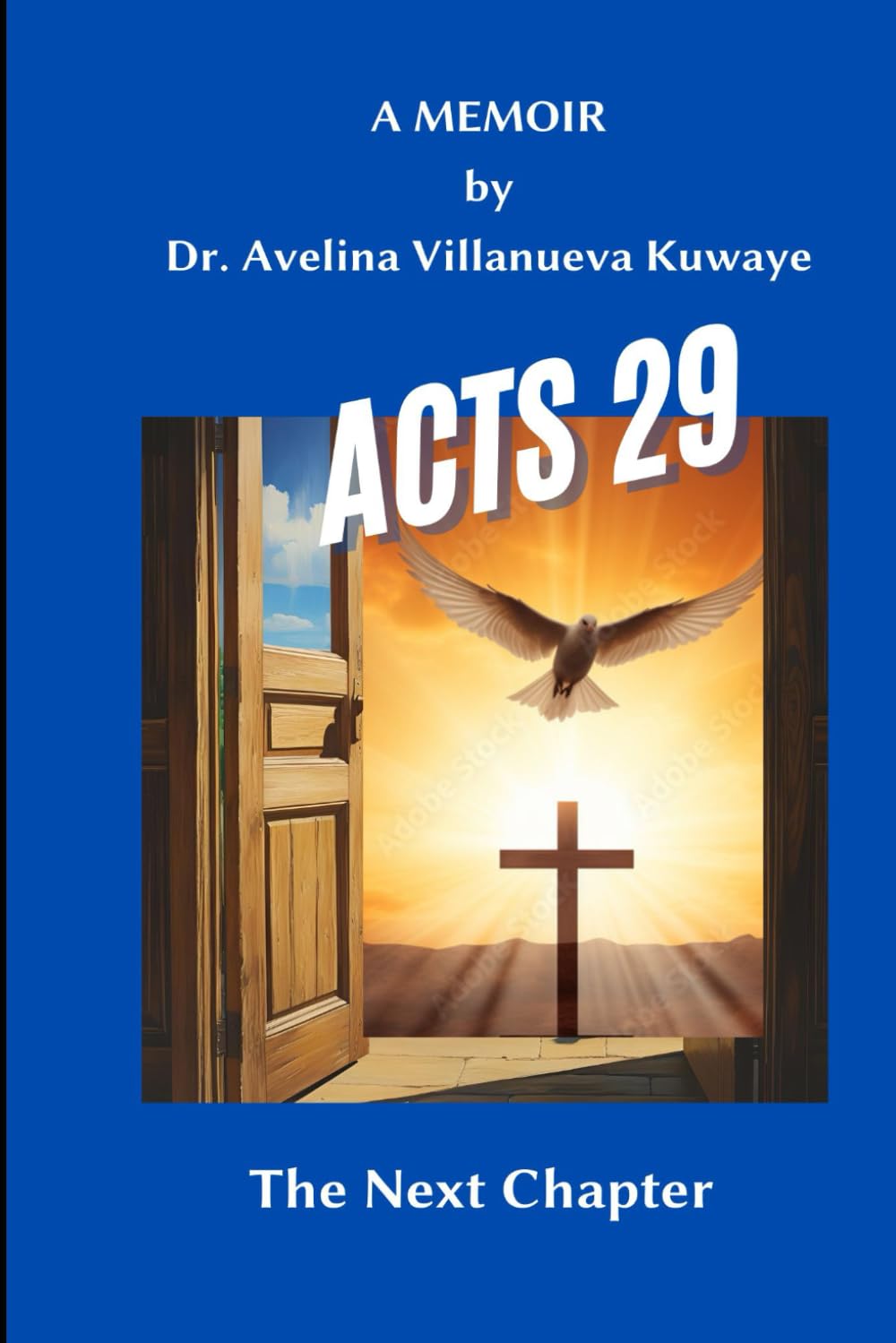 Acts 29: The Next Chapter