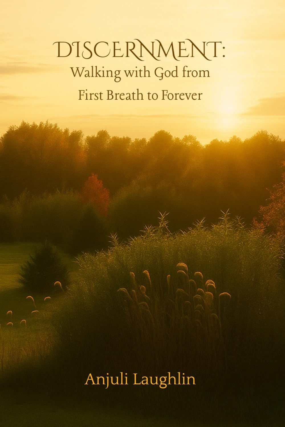 Discernment: Walking with God from First Breath to Forever