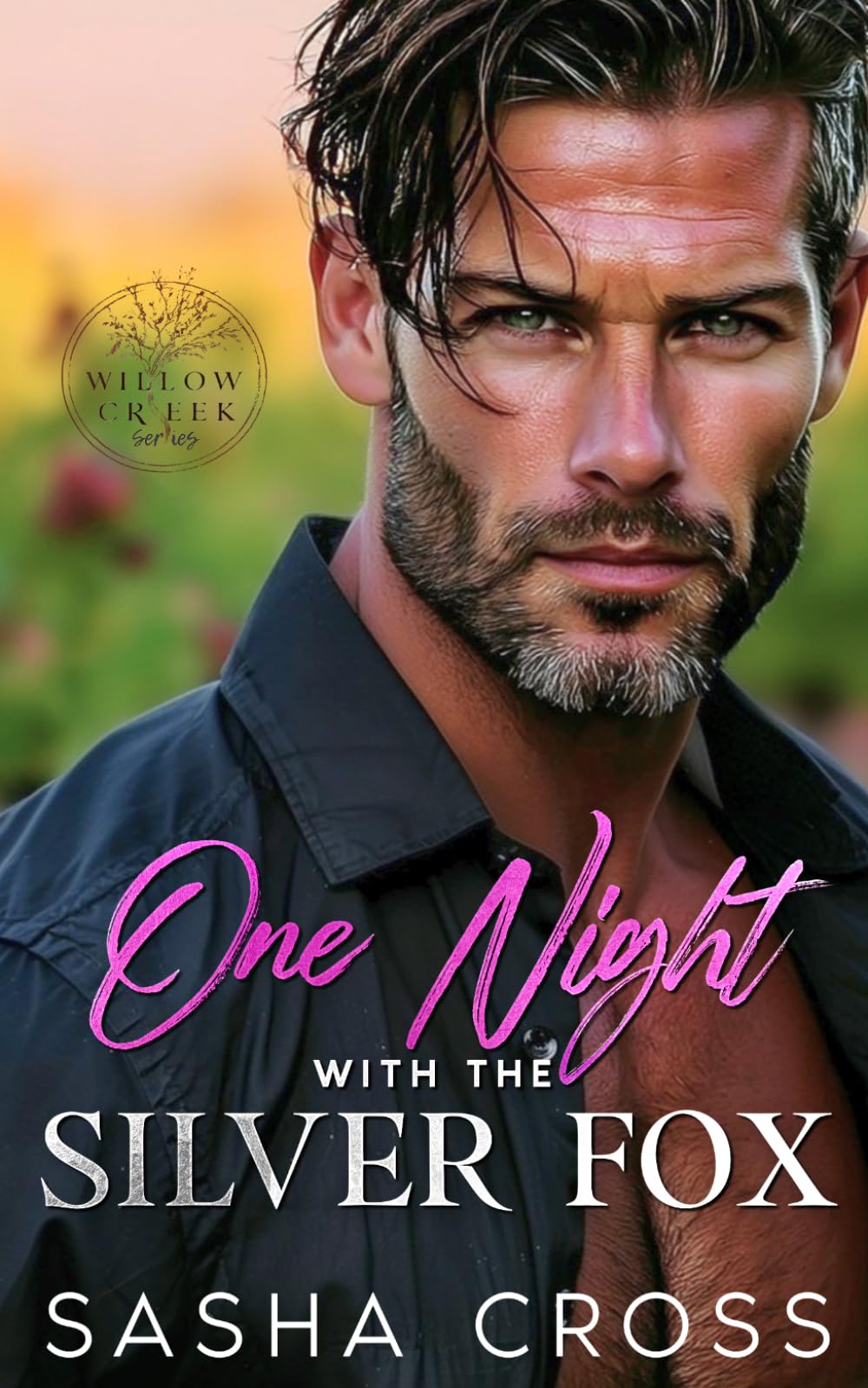 One Night with the Silver Fox: An Enemies to Lovers Small Town Romance (Willow Creek)