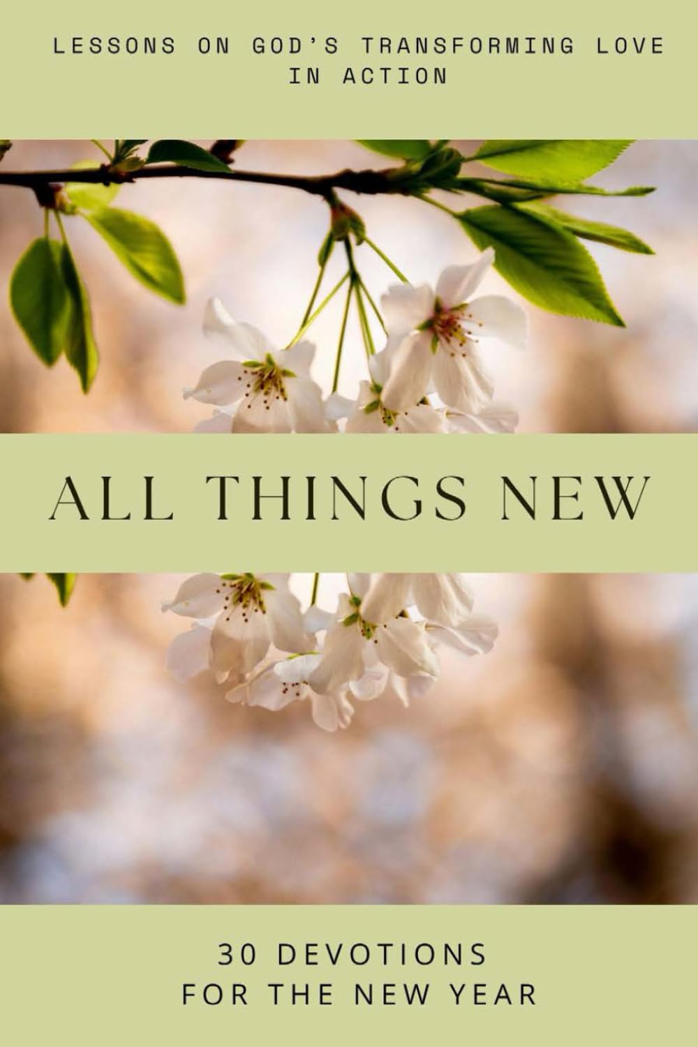 All Things New: Lessons on God's Transforming Love in Action