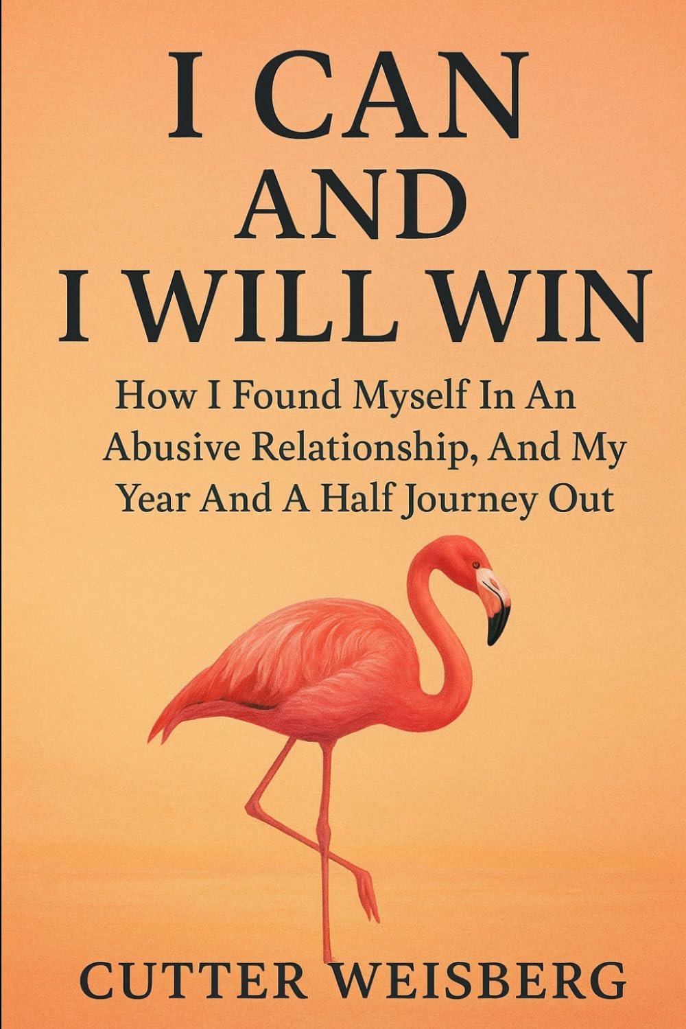 I Can And I Will Win: How I Found Myself In An Abusive Relationship, And My Year And A Half Journey Out