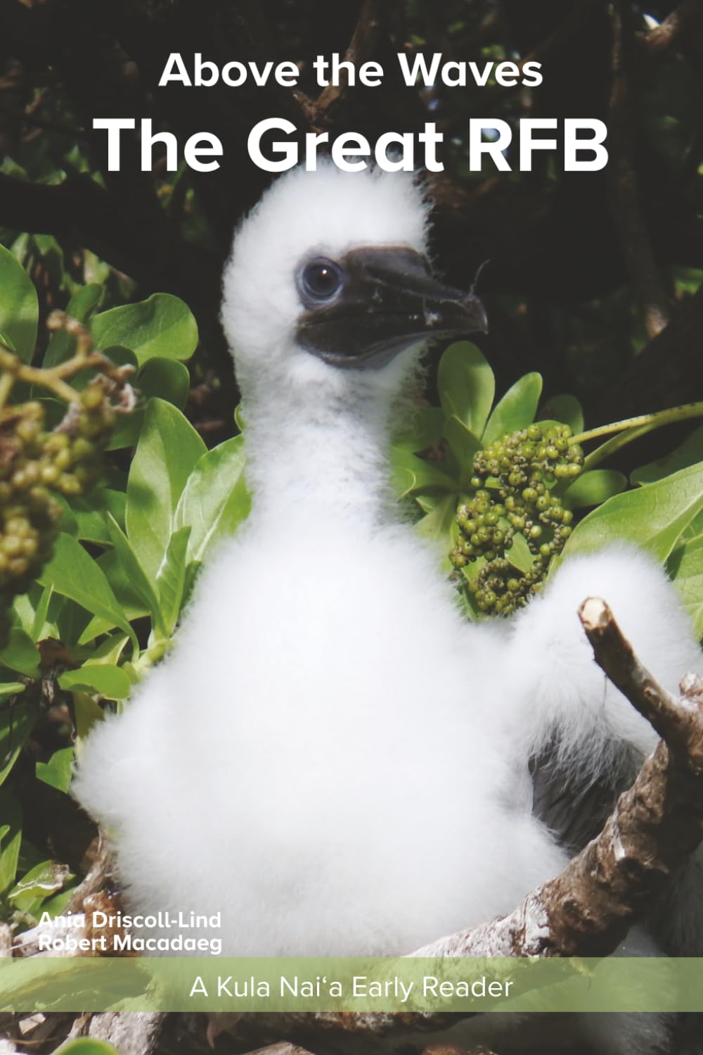 The Great RFB: An Early Reader about Red-footed Booby Chicks (Kula Nai’a Above the Waves Series)