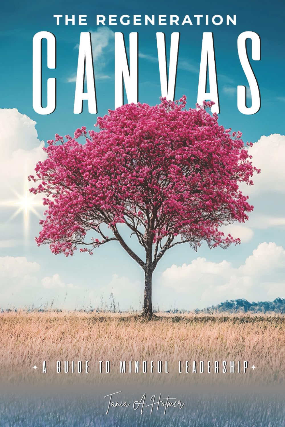 The Regeneration Canvas: A Guide to Mindful Leadership