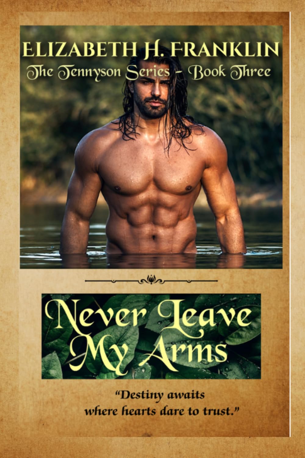 Never Leave My Arms: The Tennyson Series - Book Three