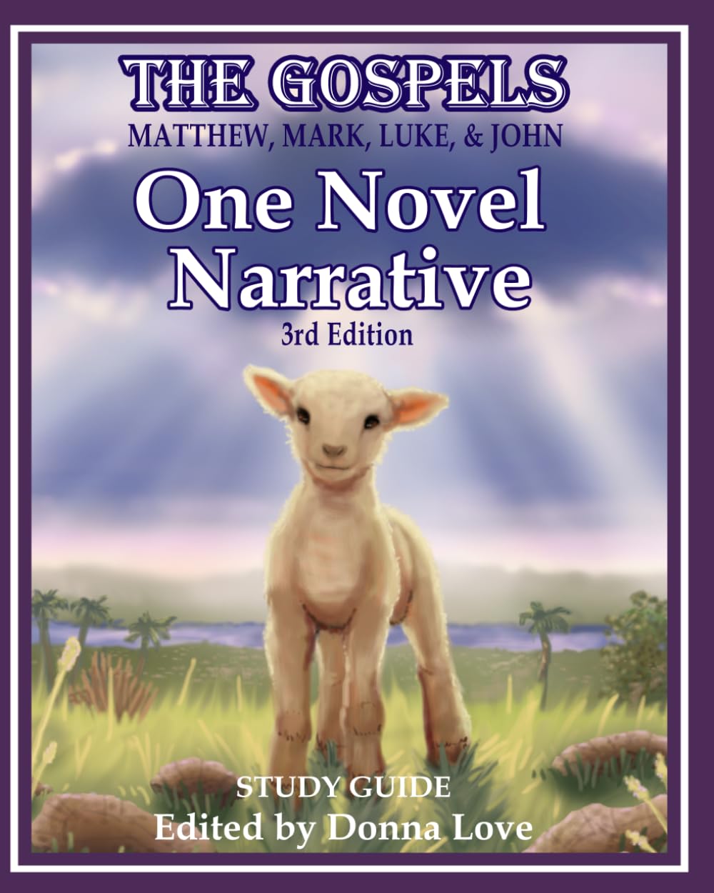 The Gospels; Matthew, Mark, Luke, and John: One Novel Narrative, 3rd Edition, Study Guide