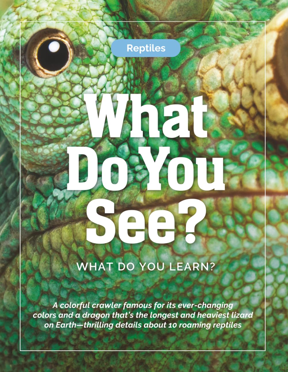Reptiles—What Do You See? What Do You Learn?: A colorful crawler famous for its ever-changing colors and a dragon that’s the longest and heaviest ... Observation, Curiosity & STEM Learning)