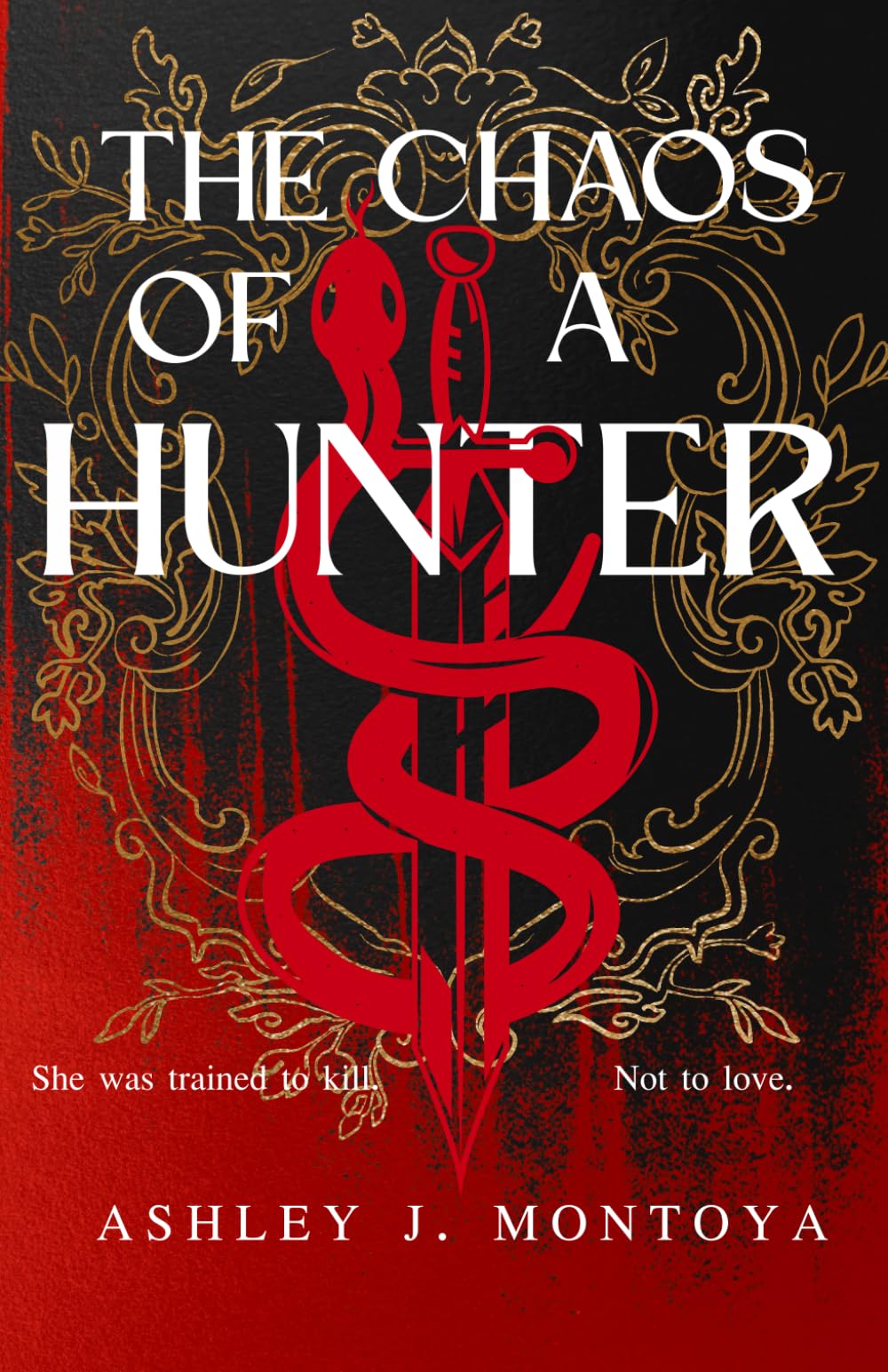 The Chaos of a Hunter (The Chaos Chronicles)