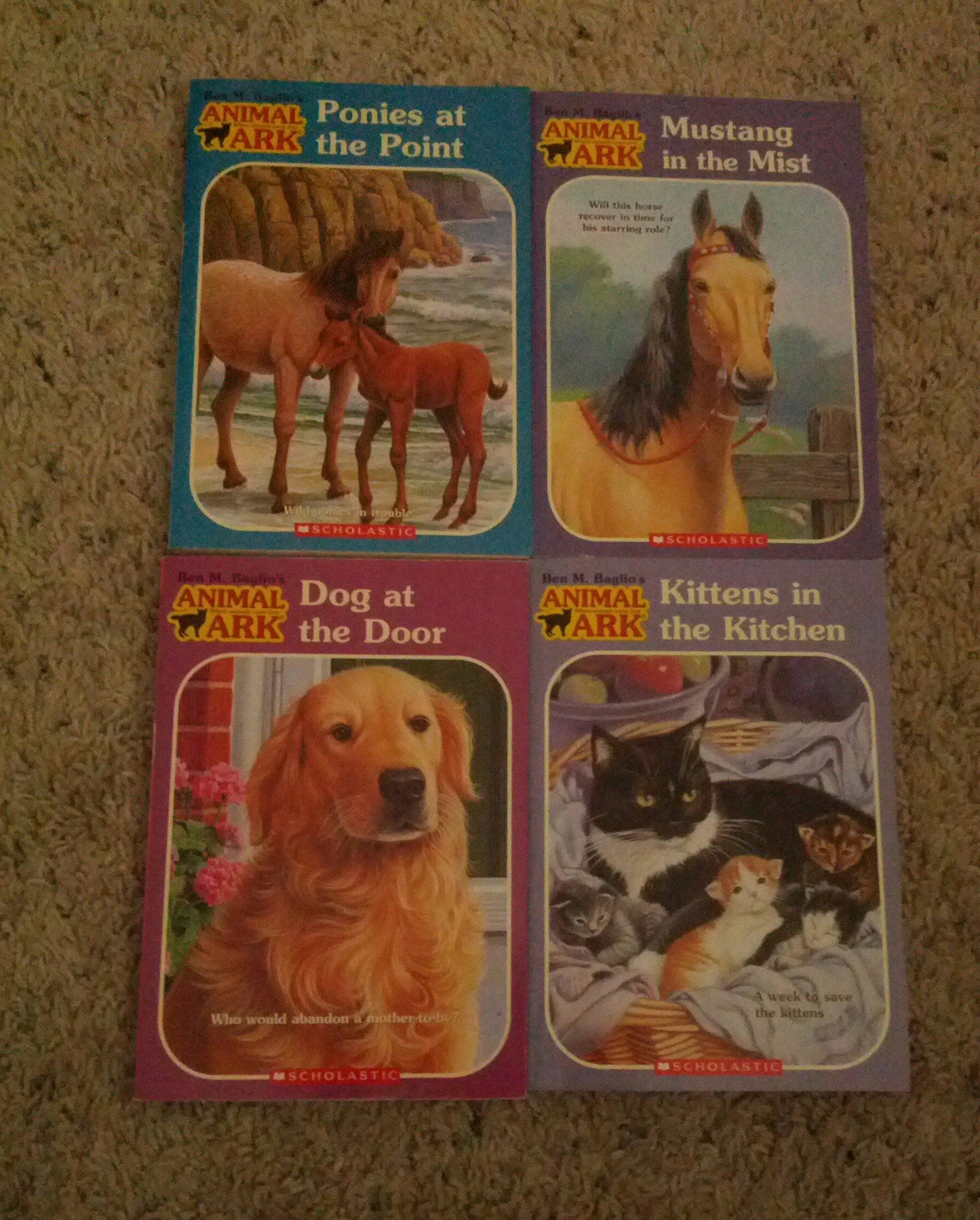 Ponies at the Point (Animal Ark #10) - 9466