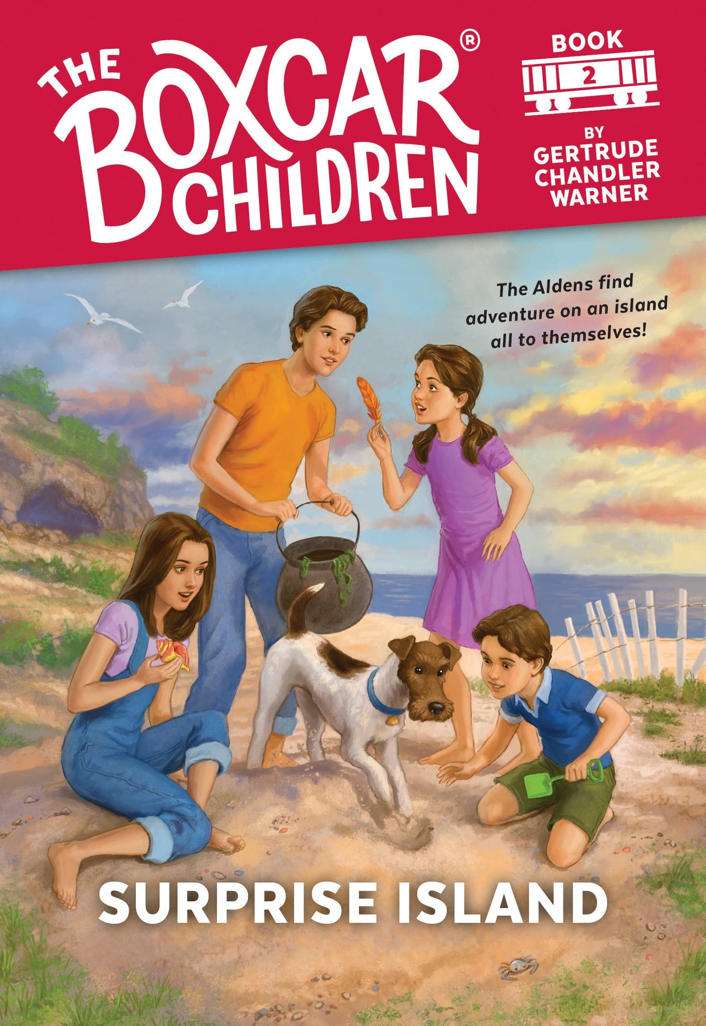 SURPRISE ISLAND (THE BOXCAR CHIL