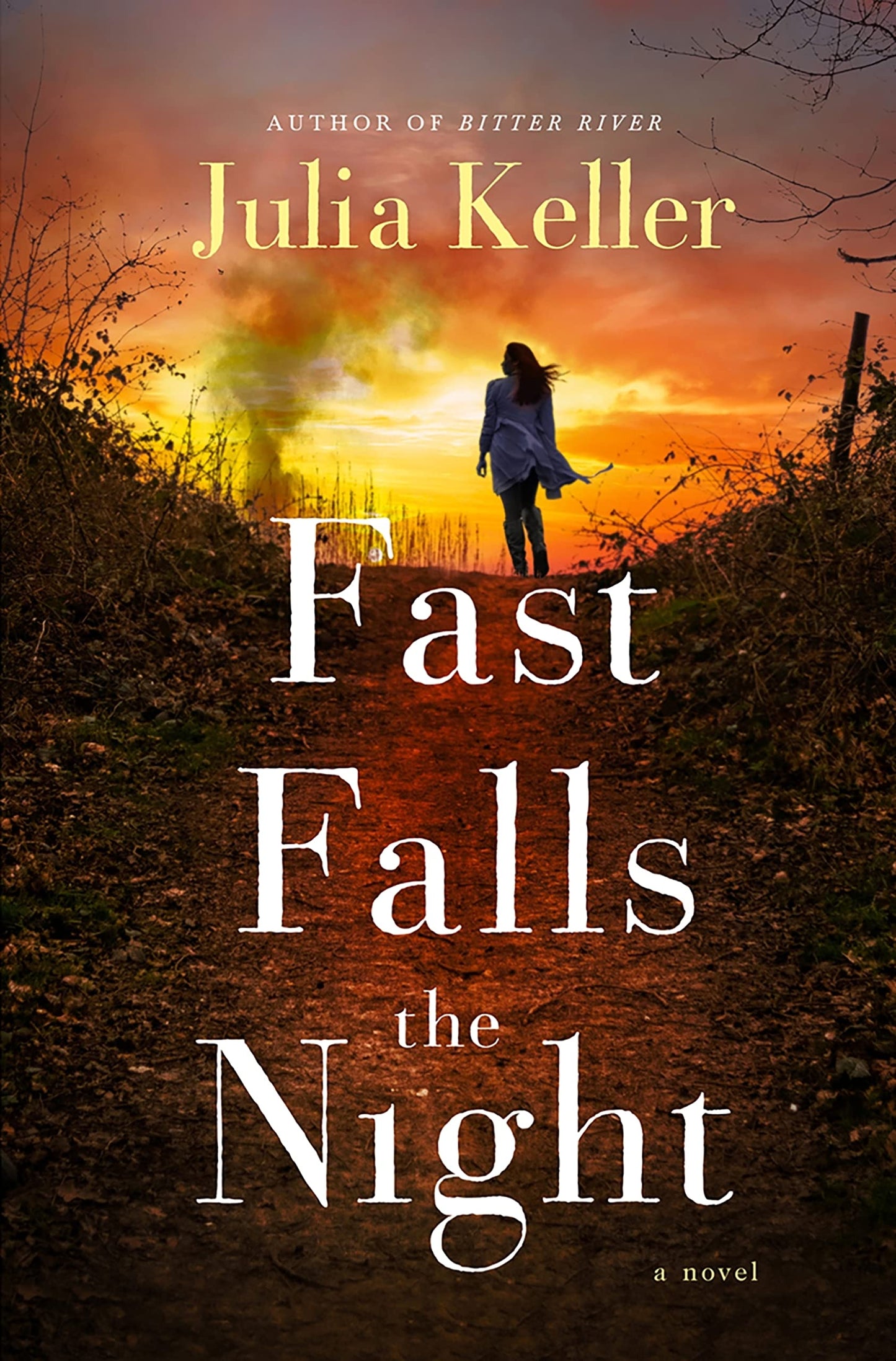 Fast Falls the Night: A Bell Elkins Novel (Bell Elkins Novels, 6) - 2286