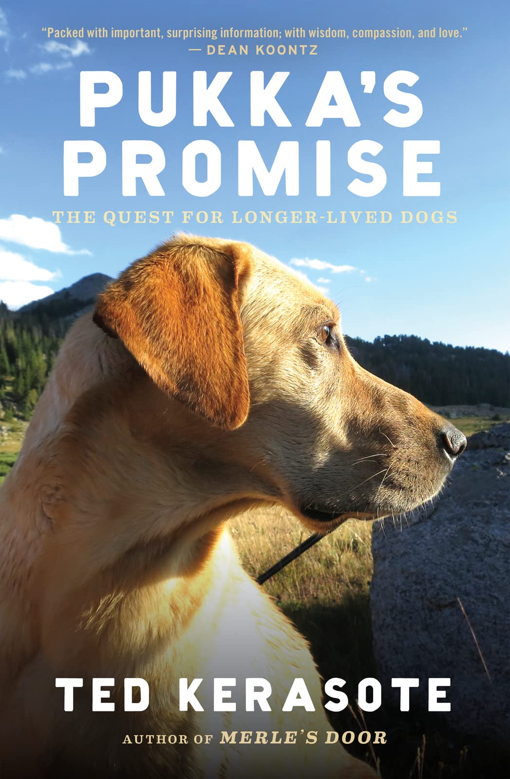 Pukka's Promise: The Quest for Longer-Lived Dogs - 9271