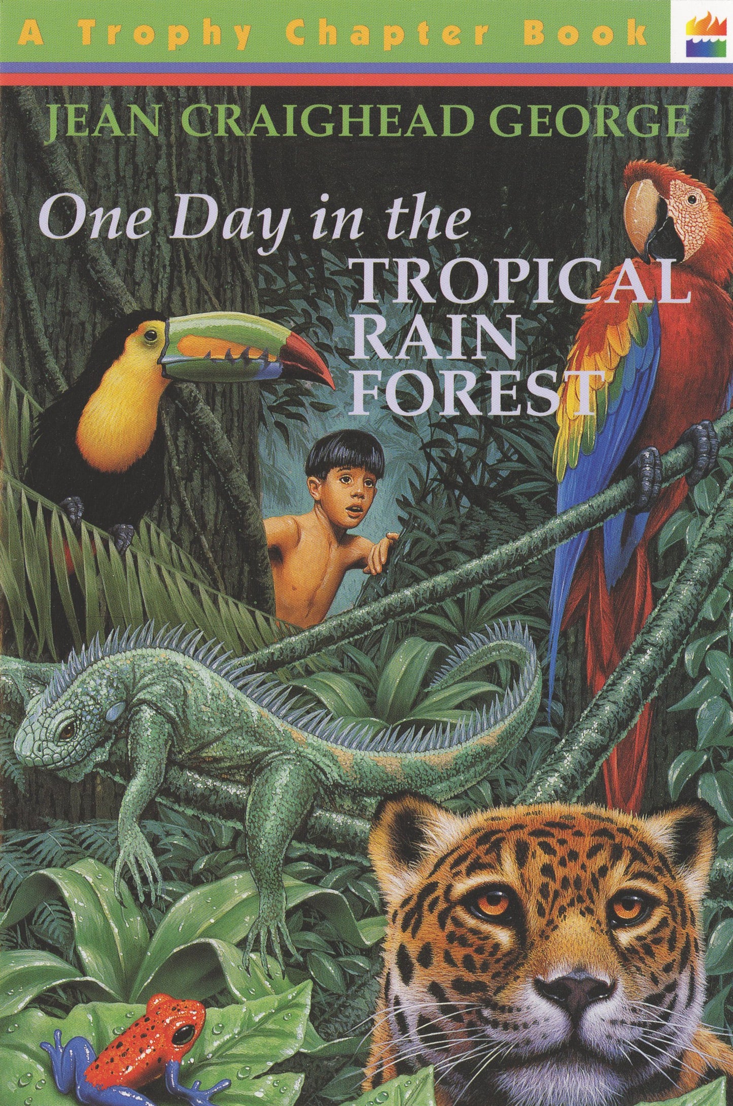 One Day in the Tropical Rain Forest - 9830