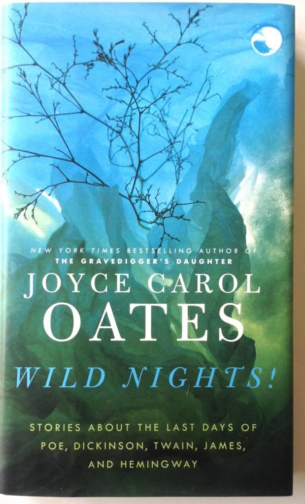Wild Nights!: Stories About the Last Days of Poe, Dickinson, Twain, James, and Hemingway - 8056