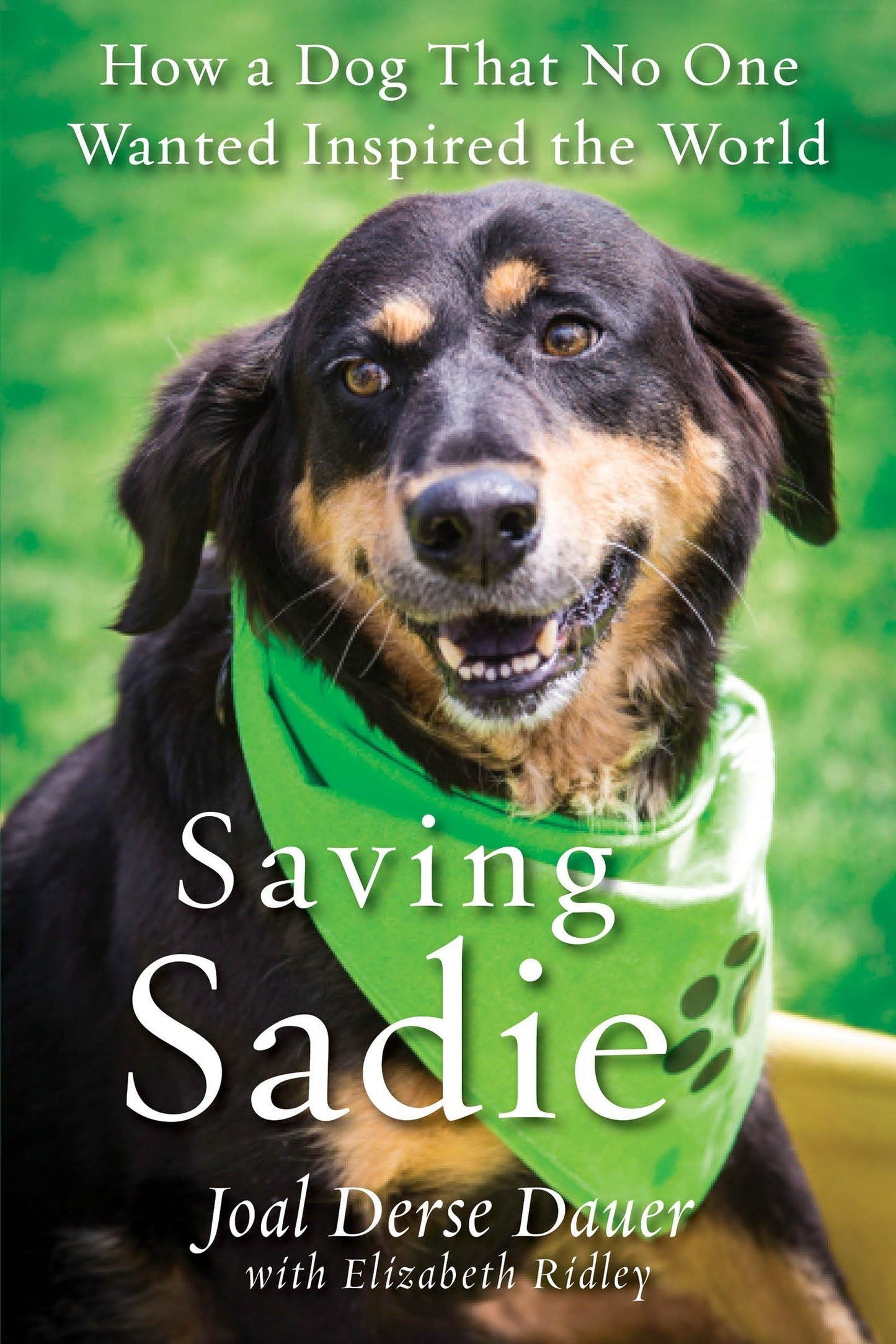 Saving Sadie: How a Dog That No One Wanted Inspired the World - 7548