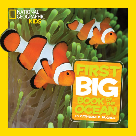 National Geographic Little Kids First Big Book of the Ocean (National Geographic Little Kids First Big Books) - 9587