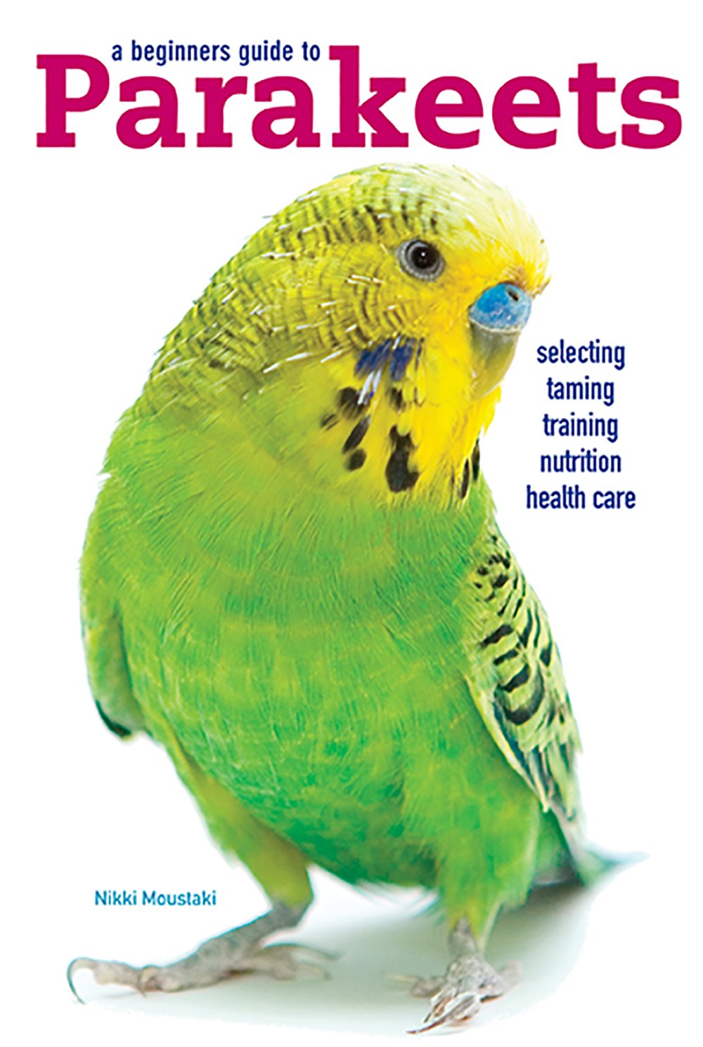 A Beginners Guide to Parakeets - 5618
