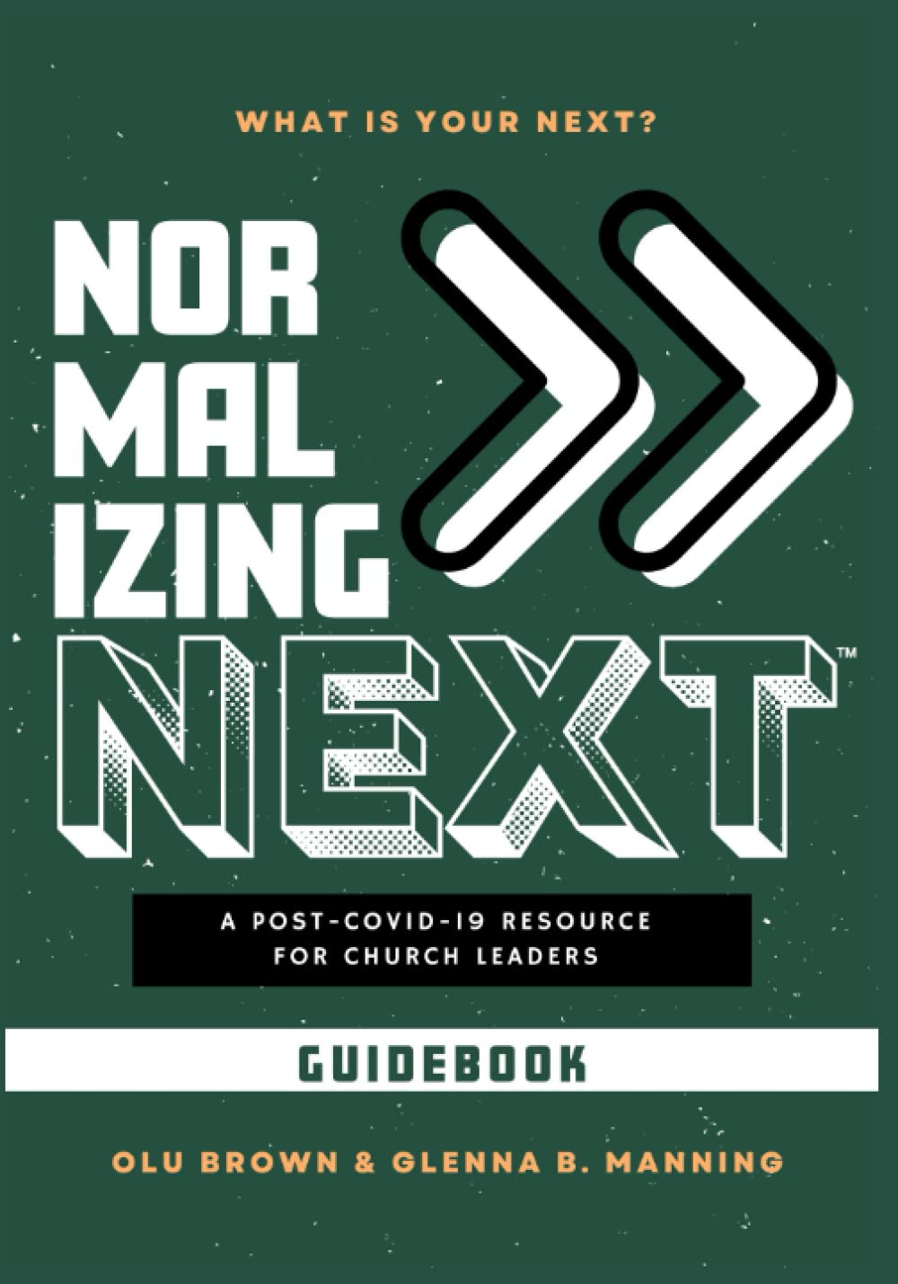 Normalizing Next™ Guidebook: A Post-COVID-19 Resource for Church Leaders - 3999