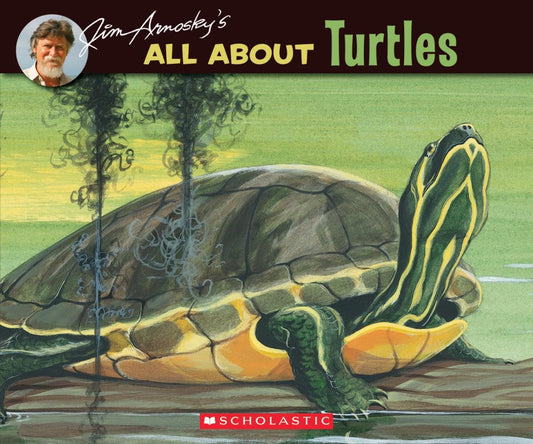 All About Turtles - 1732
