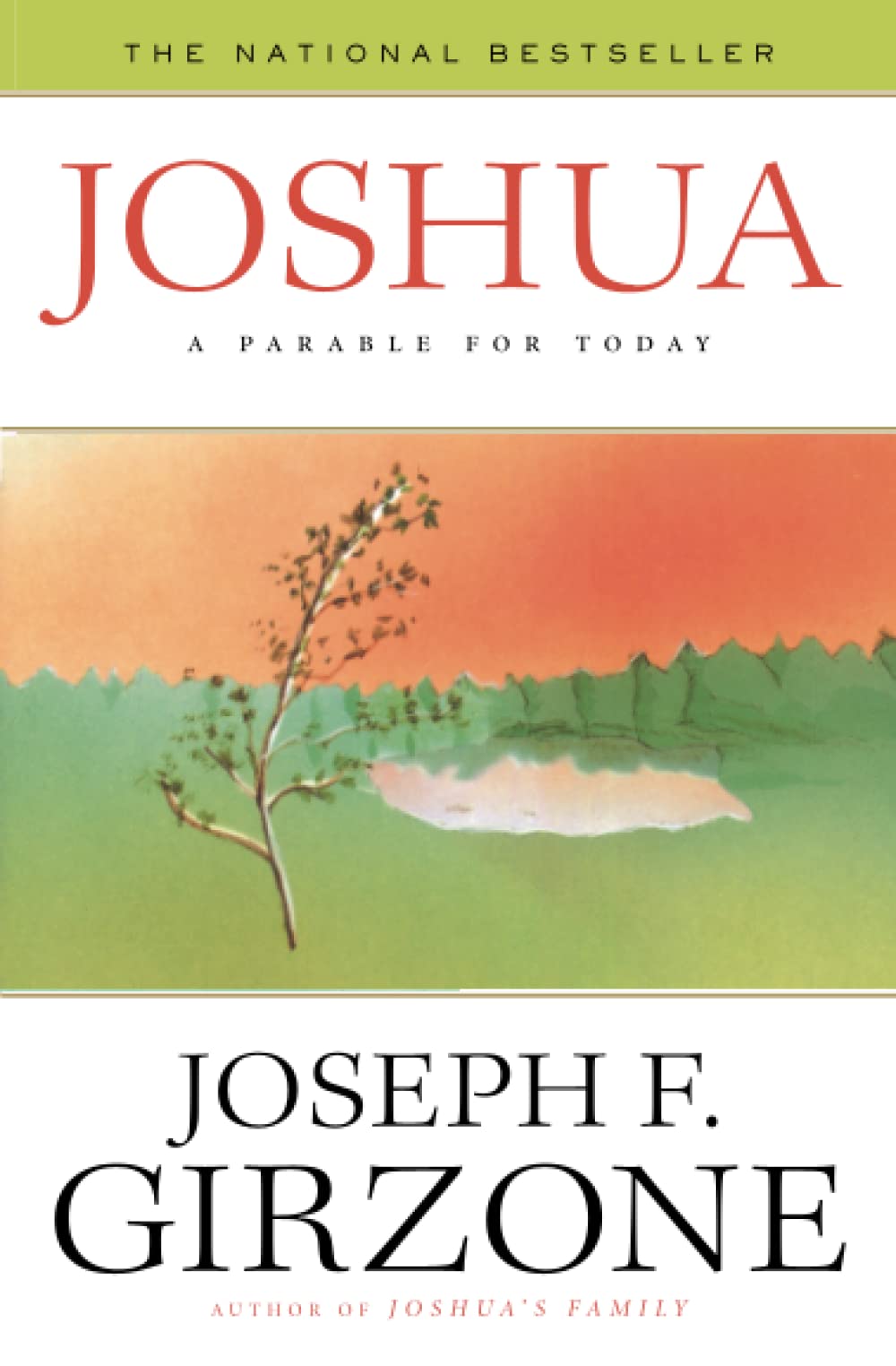 JOSHUA: A PARABLE FOR TODAY - 4769
