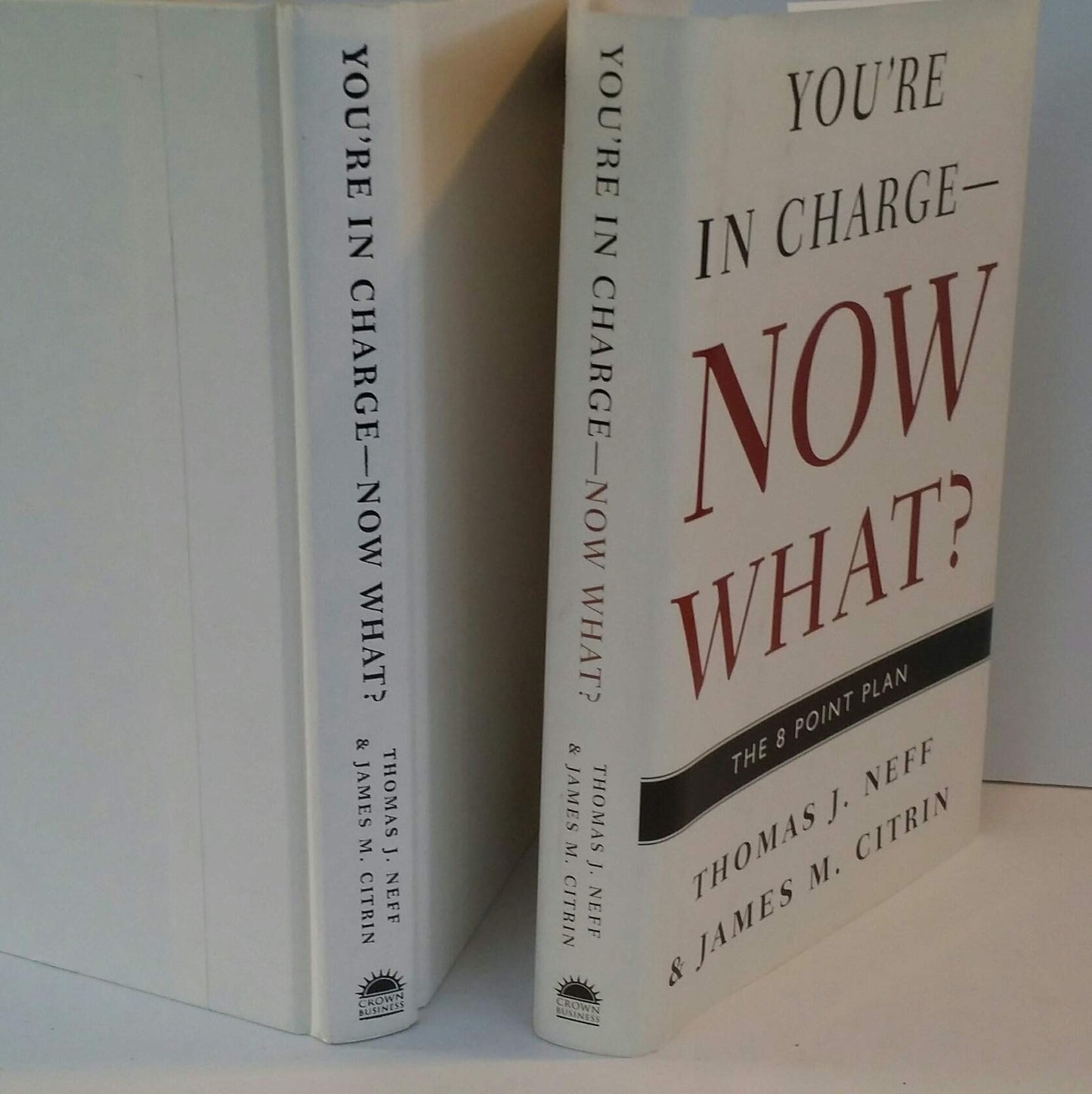 You're in Charge--Now What?: The 8 Point Plan - 1096