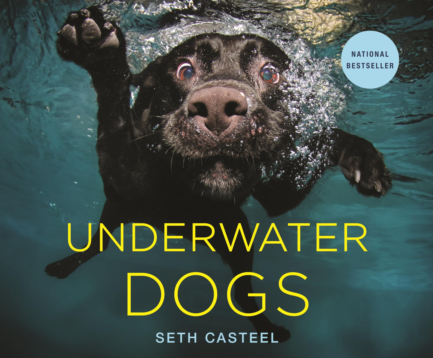 UNDERWATER DOGS - 542