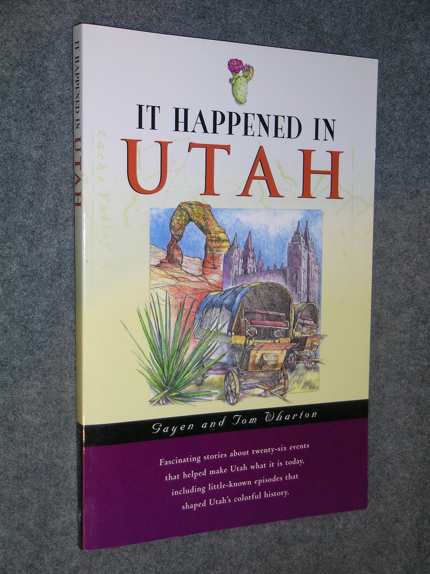 It Happened in Utah (It Happened In Series) - 6772